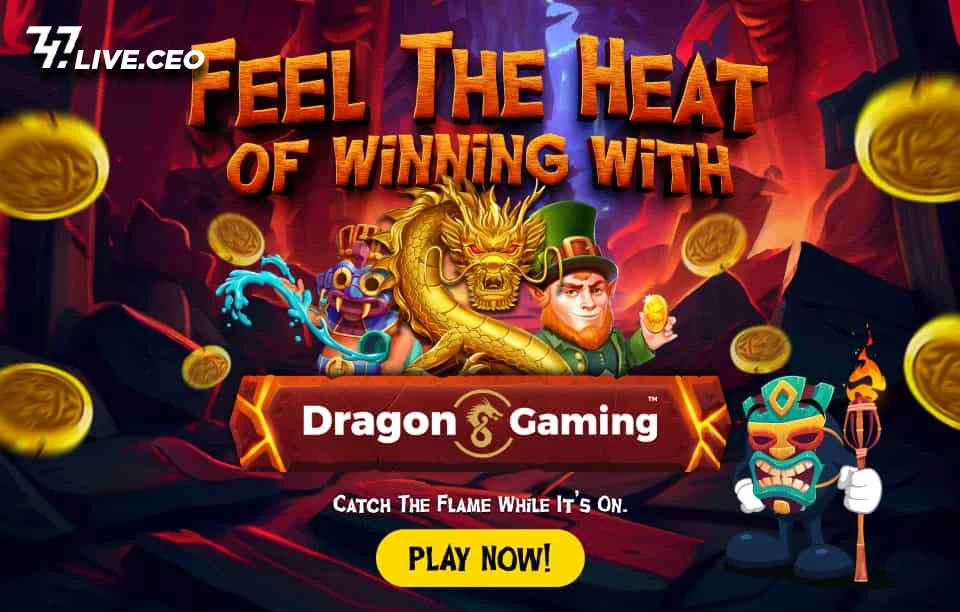feel the heat of winning with dragon gaming
